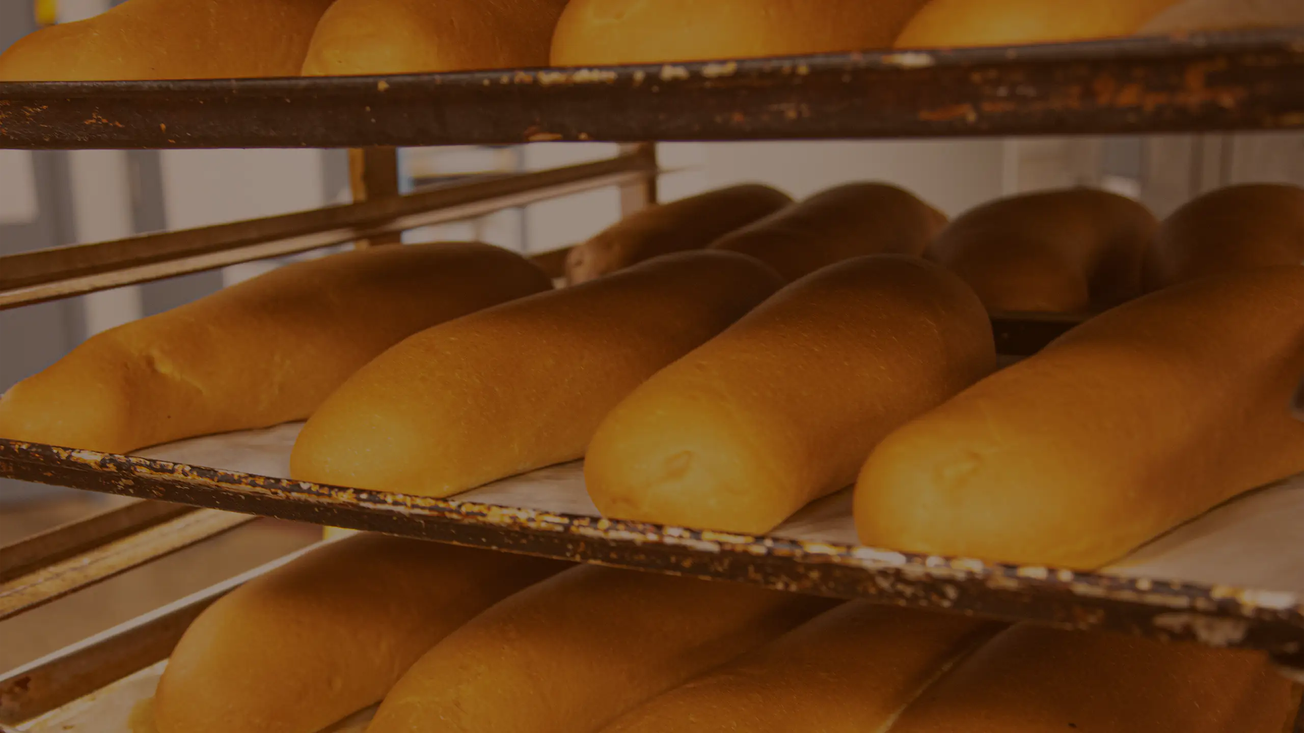 Bread on racks in Stone Hearth Bakery