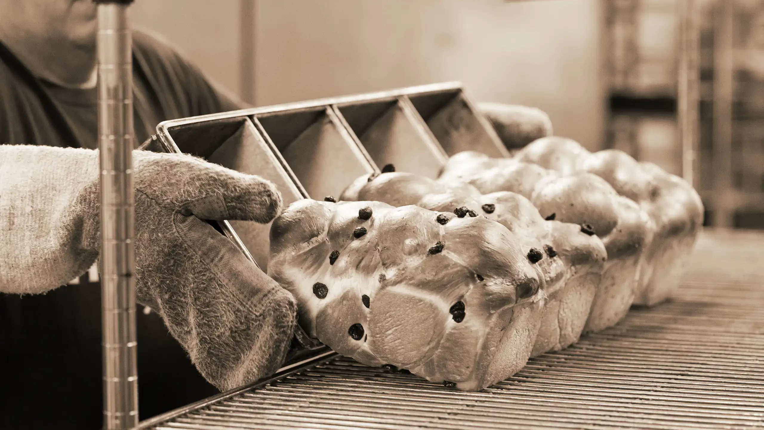 Multiple loaves of bread being turned out onto industrial racks.